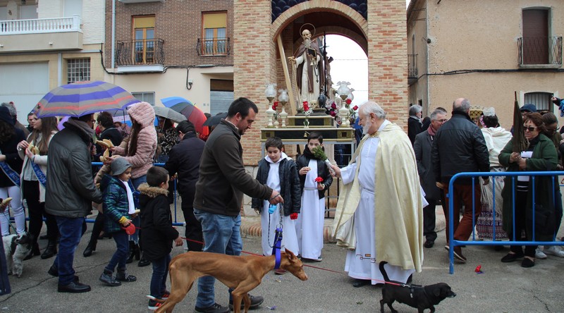 En este momento estás viendo Hoy han concluido en Caudete las fiestas en honor a San Antón