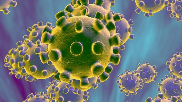 Lee más sobre el artículo Datos del coronavirus y medidas efectivas para prevenir el contagio