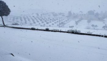 La nieve ha llegado a la provincia de Albacete en plena crisis sanitaria