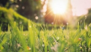 La semana 'de fiestas' estará marcada por la estabilidad meteorológica y las temperaturas suaves