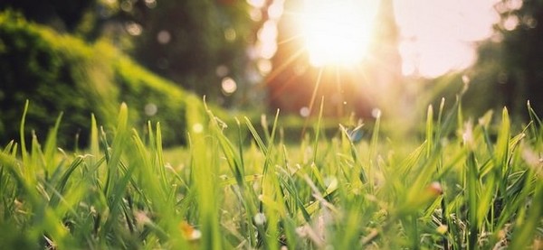 Lee más sobre el artículo Las temperaturas irán subiendo en Caudete durante toda la semana hasta alcanzar los 30 grados