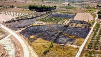 Varios heridos leves en el incendio declarado esta tarde en el Paraje del Pinar