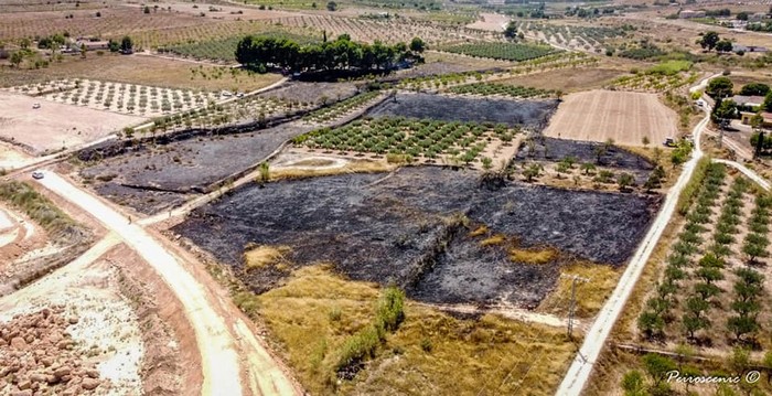 Lee más sobre el artículo Varios heridos leves en el incendio declarado esta tarde en el Paraje del Pinar