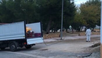 El Ayuntamiento de Caudete realiza un tratamiento preventivo para evitar la procesionaria en los pinos