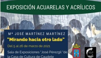 Hoy se inaugura la exposición de María José Martínez 'Mirando hacia otro lado'