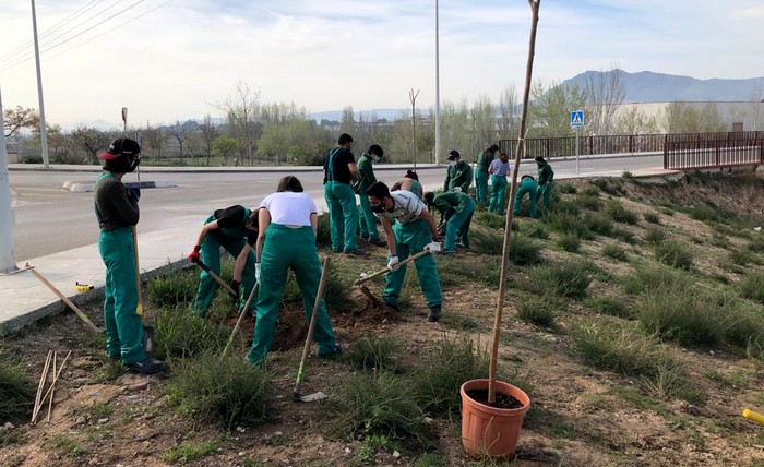 Lee más sobre el artículo Jóvenes caudetanos se forman para desarrollar trabajos de jardinería y zonas verdes