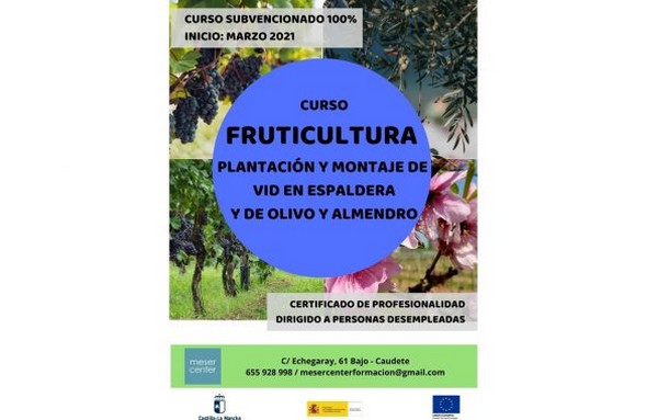 Lee más sobre el artículo Organizado un curso gratuito de fruticultura para desempleados