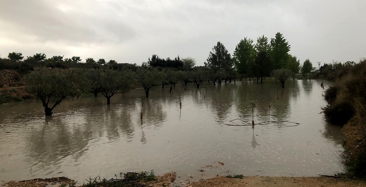 En este momento estás viendo La tormenta del sábado descargó 44 litros de lluvia por metro cuadrado en Caudete