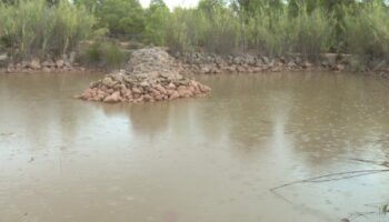 Añaden agua a la charca de La Toconera y se realizan trabajos de mantenimiento en su entorno