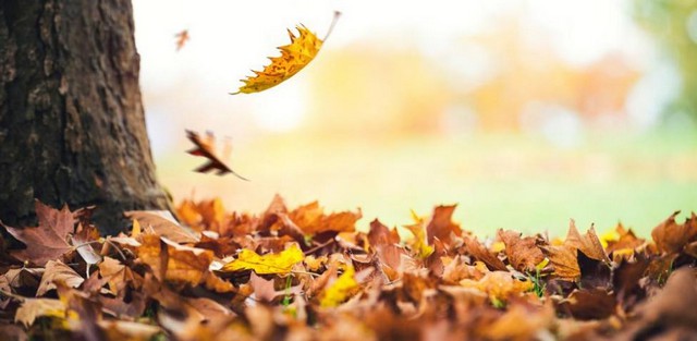 Lee más sobre el artículo Fin de semana con temperaturas frías en Caudete