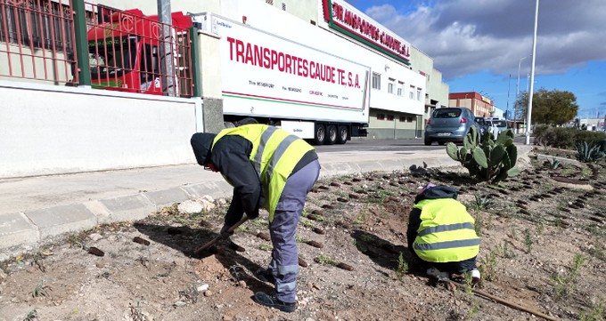 Lee más sobre el artículo Plantan más de 1.500 arbustos en el Polígono Industrial ‘Los Villares’