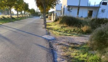 "TÚpatria" propone al Ayuntamiento plantar los árboles que faltan en zonas como la Avenida de la Libertad o Las Jornetas