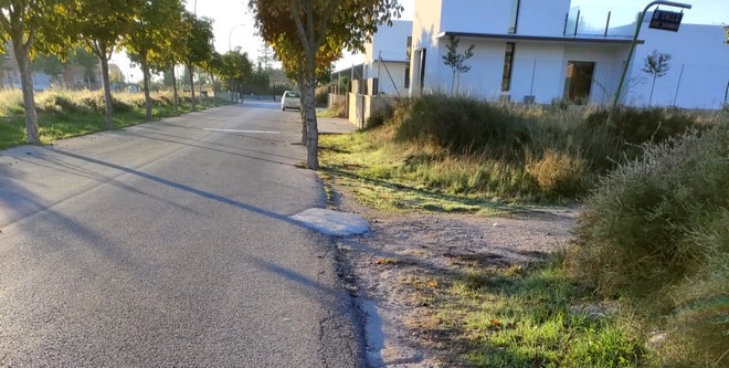 Lee más sobre el artículo «TÚpatria» propone al Ayuntamiento plantar los árboles que faltan en zonas como la Avenida de la Libertad o Las Jornetas