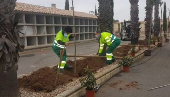 El Ayuntamiento realiza obras de mejora en el Cementerio con la adición de nuevas zonas de vegetación
