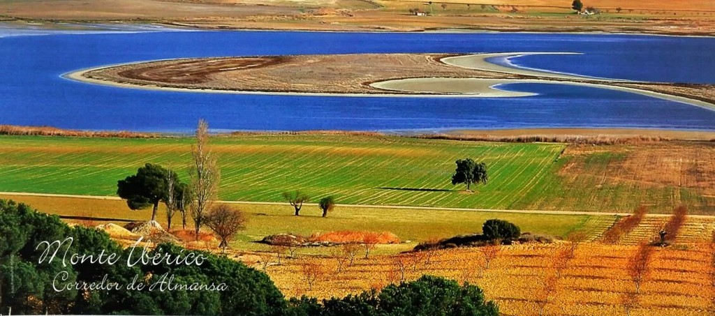 monte iberico corredor de almansa caudete digital