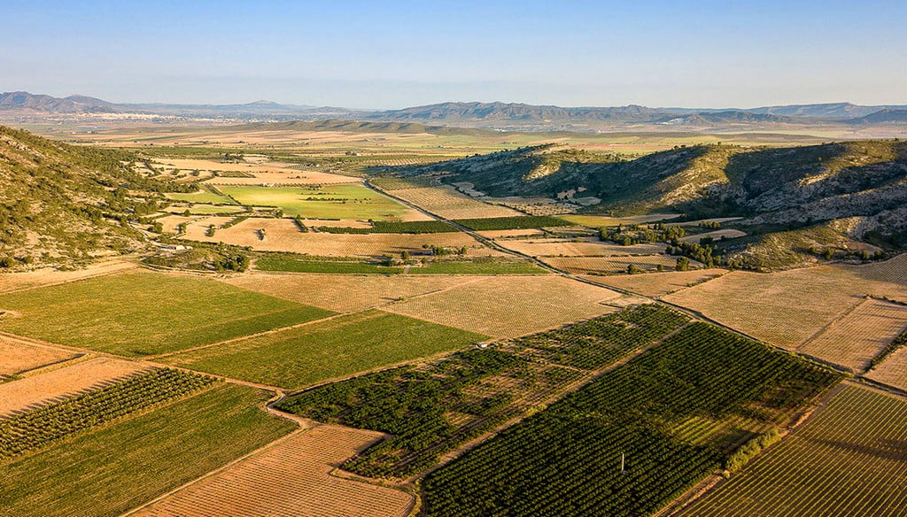 En este momento estás viendo <span class="entry-title-primary">Mi opinión del taller didáctico sobre la comarca de Monte Ibérico – Corredor de Almansa</span> <span class="entry-subtitle">Artículo de Álvaro Ponce</span>