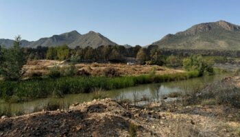 extinguido incendio hellin caudete digital