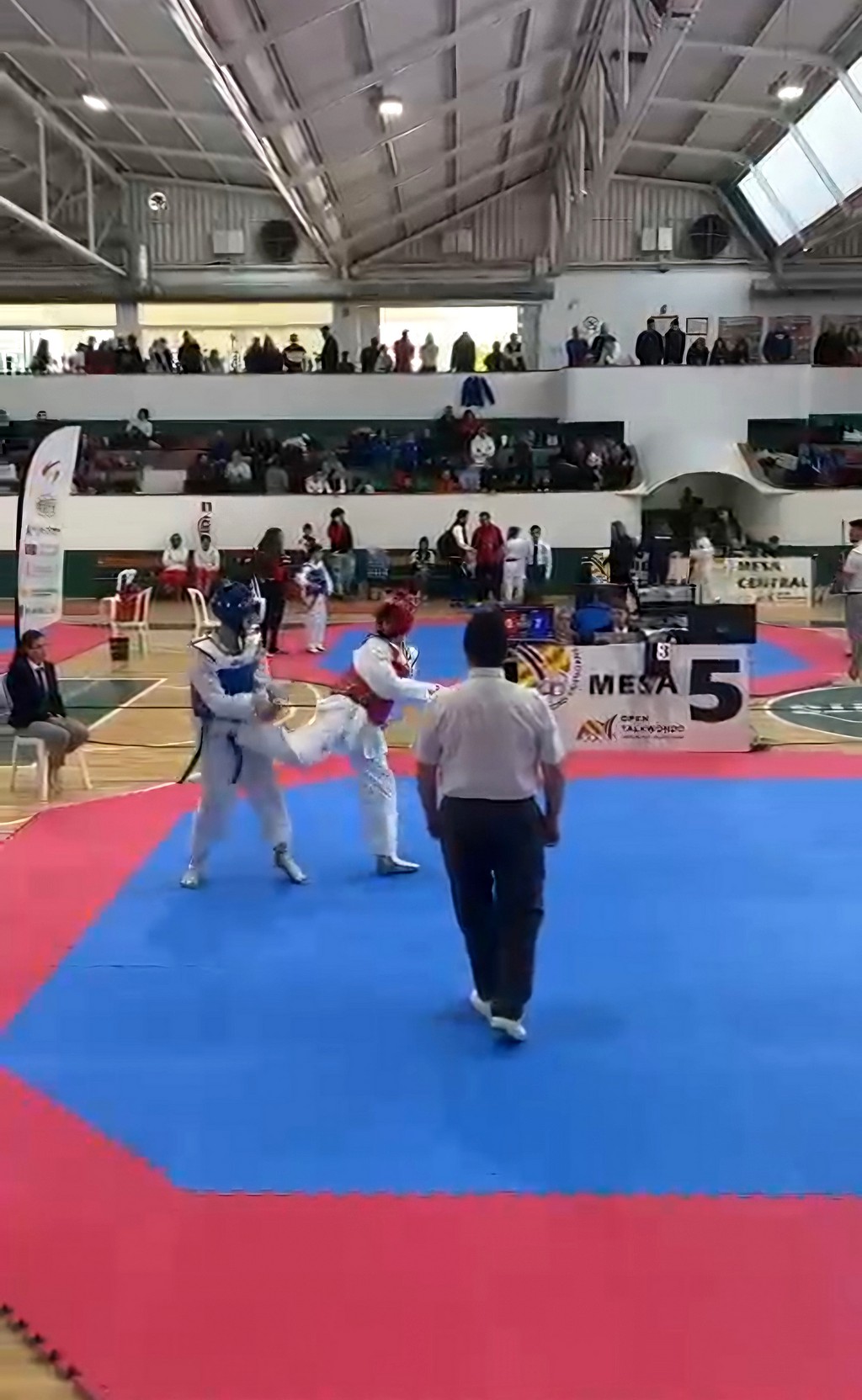 taekwondo 2025 4 caudete digital