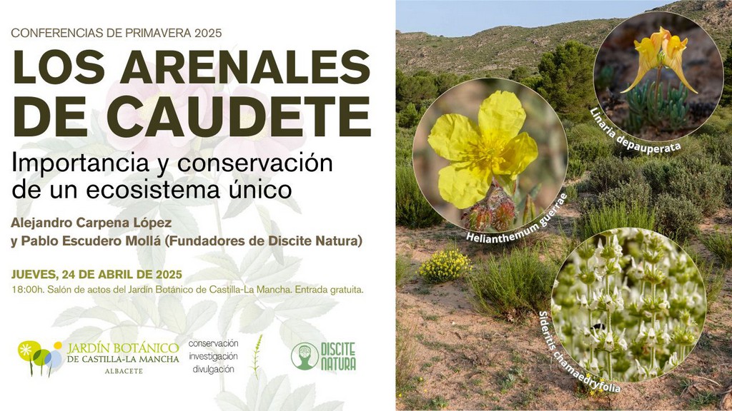 discite conferencia caudete digital