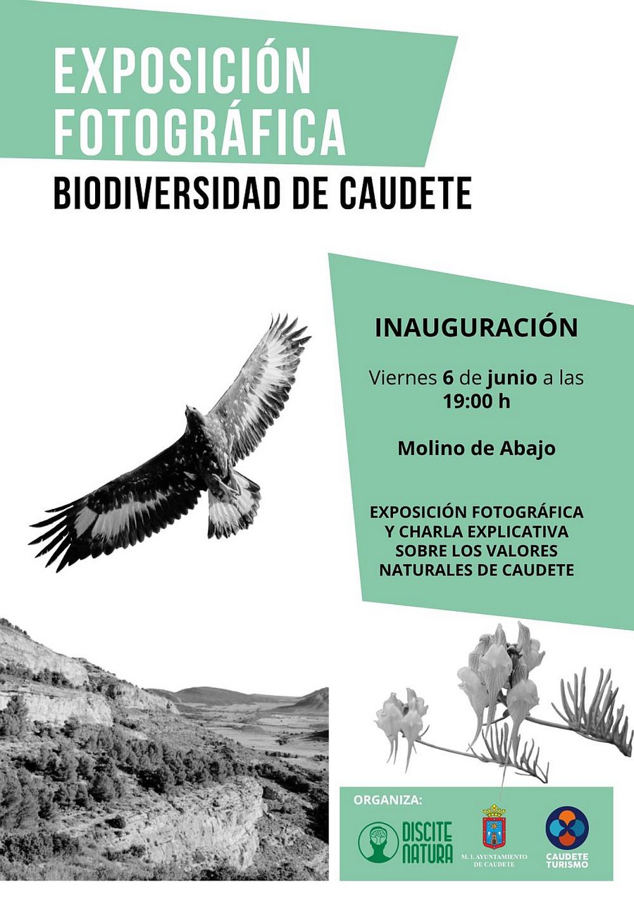 exposicion biodiversidad caudete digital