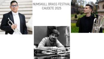 entrevistas numskull 2025 caudete digital