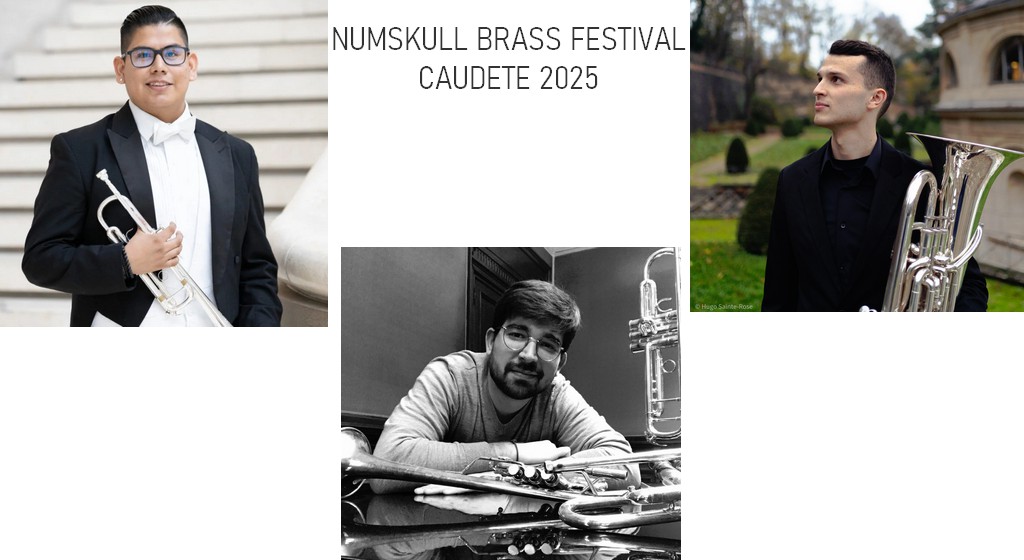 entrevistas numskull 2025 caudete digital