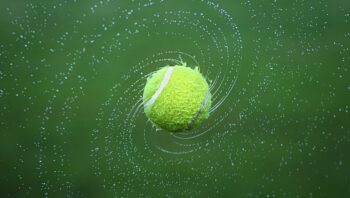 pelota
