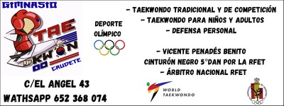 taekwondo