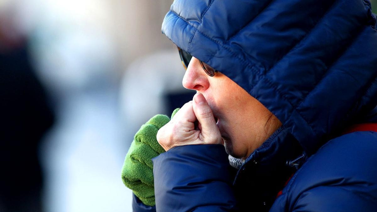 frio caudete digital