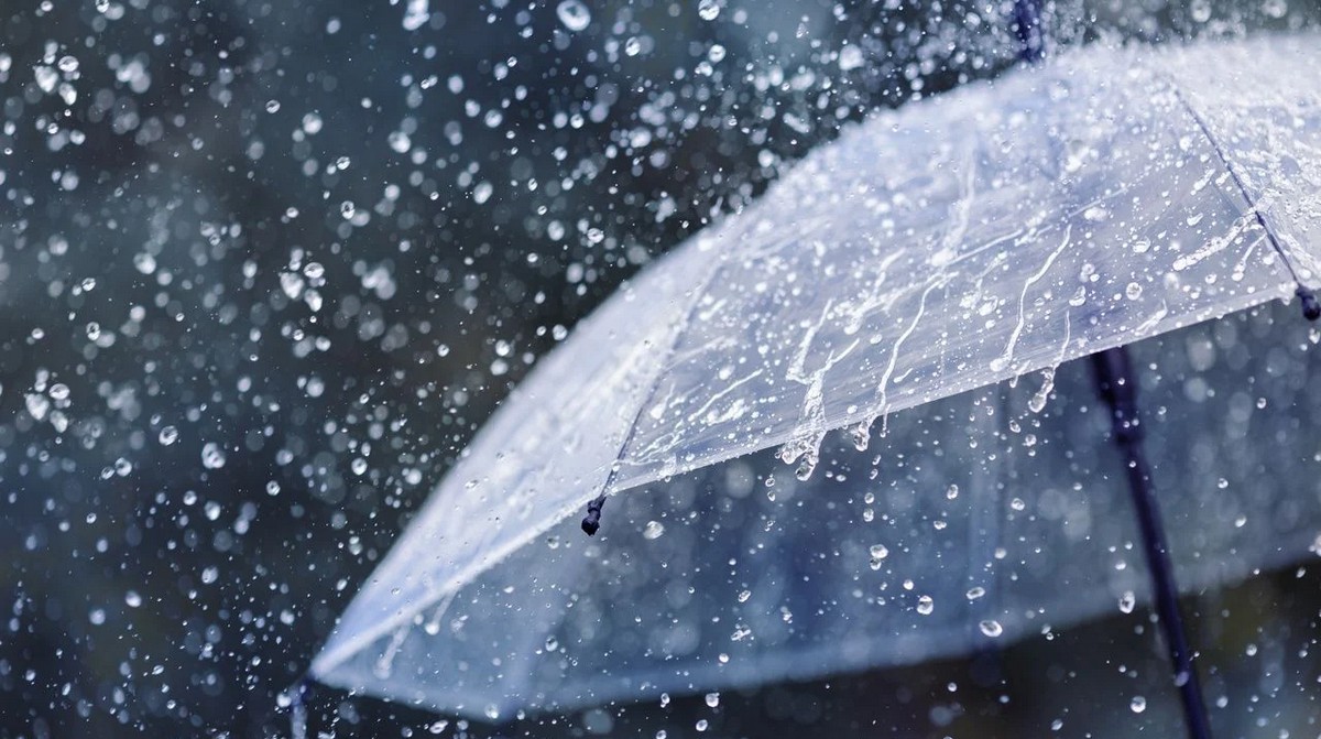 lluvia paraguas caudete digital