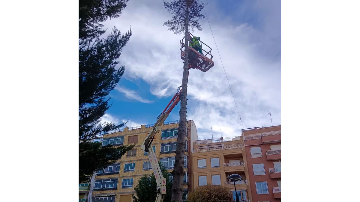 arbol retirado caudete digital