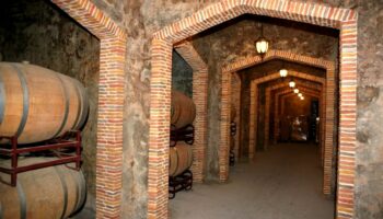 deitania san isidro caudete digital