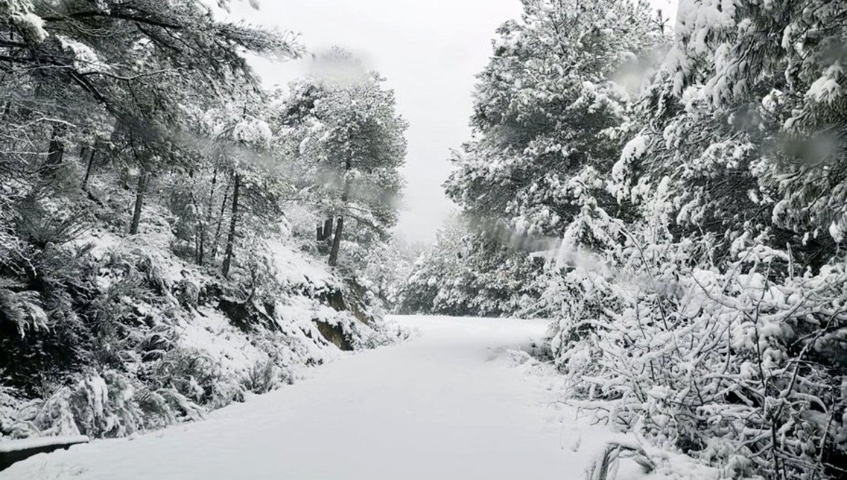 nieve provincia caudete digital
