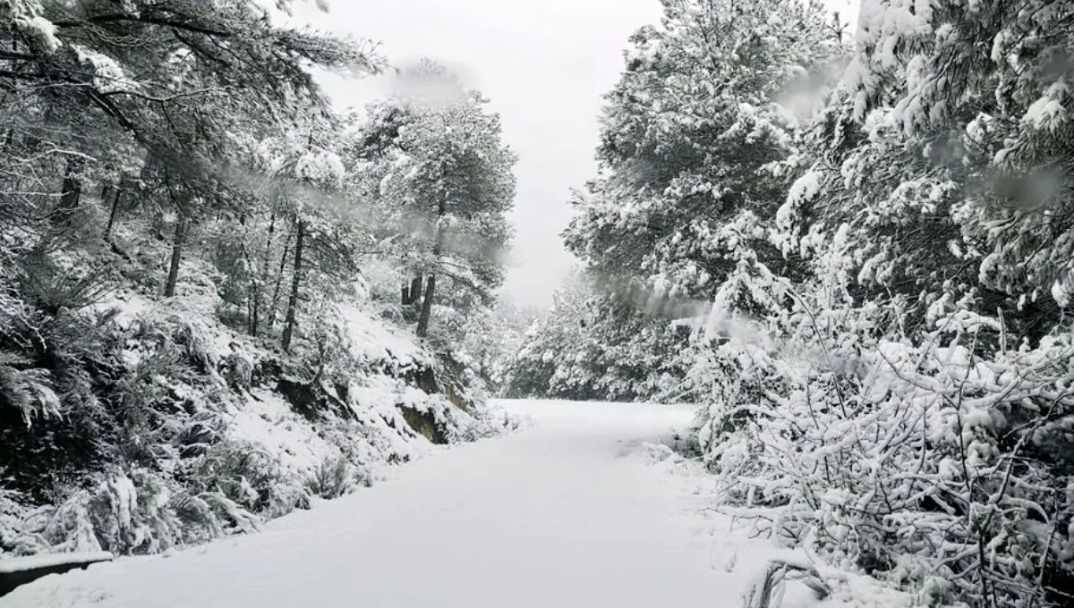 nieve provincia caudete digital