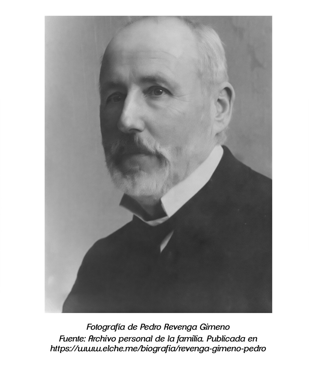 revenga 6 caudete digital