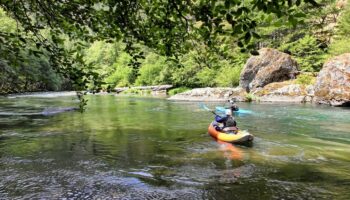 Resizer 17709136441281