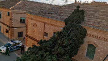 cipres san francisco viento 2026 caudete digital