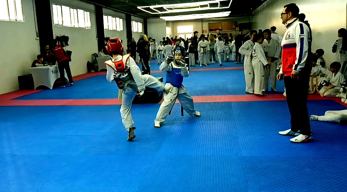 taekwondo finestrat caudete digital