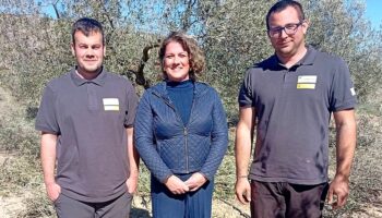 vino caudete digital