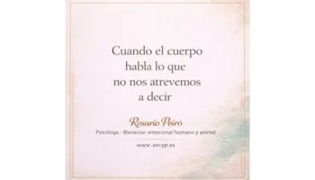 rosario 8