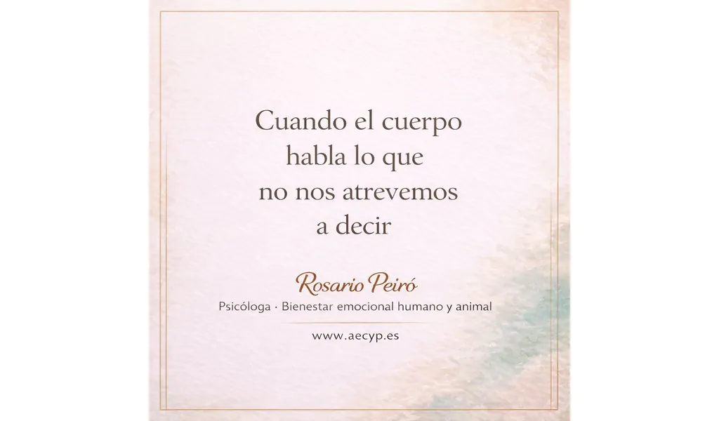 rosario 8