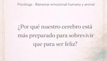 rosario 9