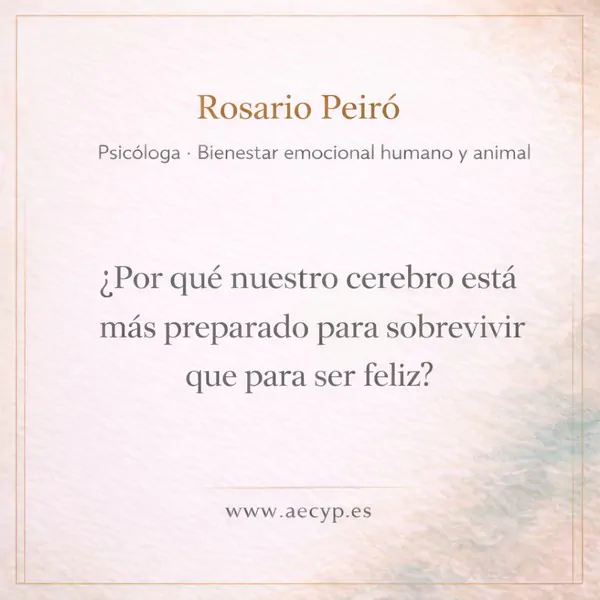 rosario 9