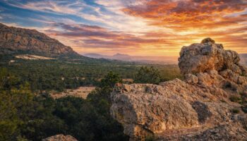 toconera 2026 caudete digital