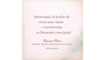 rosario 11