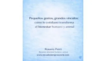 rosario 12