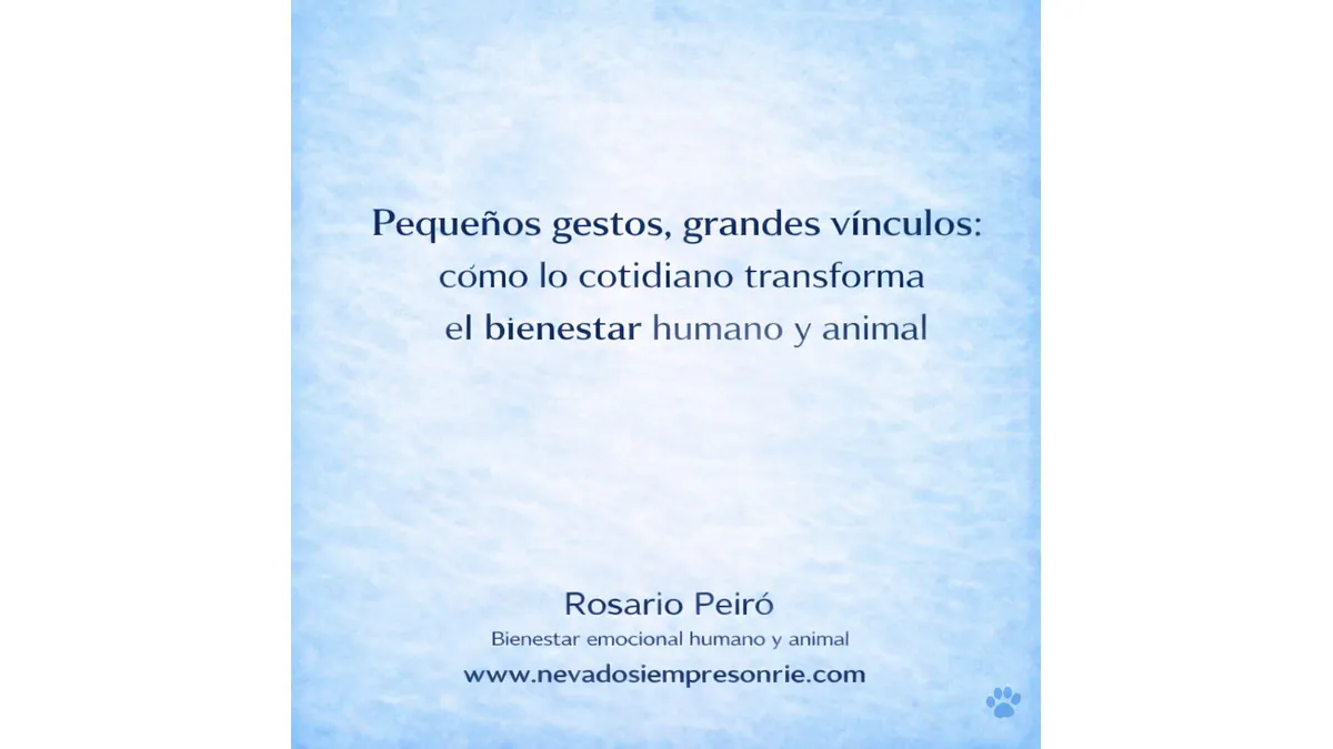 rosario 12