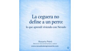 rosario 12