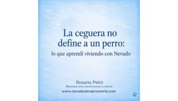 rosario 12
