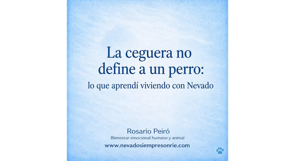 rosario 12